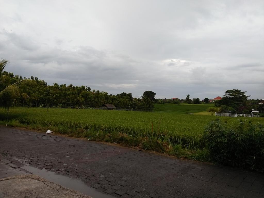 The Wina Guest House 2 Canggu Eksteriør bilde
